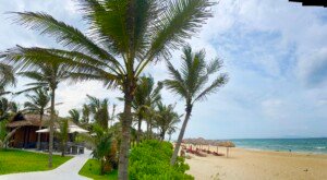 Ubicado en la costa de Hoi An, Cham Beach Bar - Bliss Hoi An es el lugar perfecto para relajarte y disfrutar de la brisa marina. Este encantador bar combina un ambiente relajado con un toque de elegancia, ofreciendo el escenario ideal para una experiencia única junto al mar.