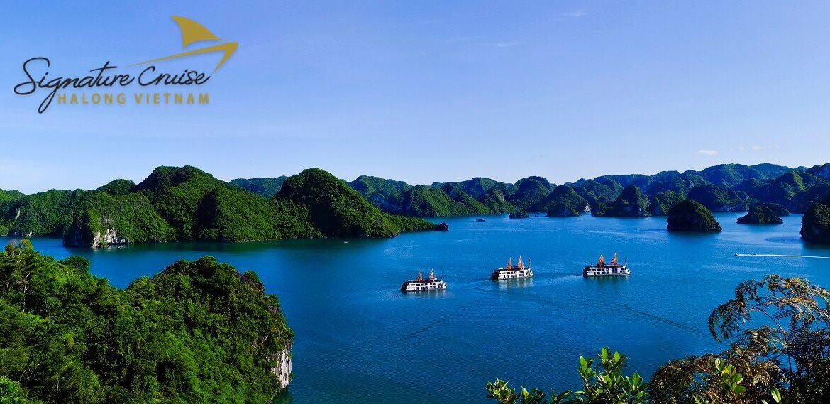 Signature Cruises – Experiencias de Lujo Inolvidables