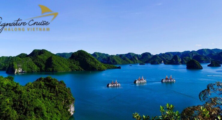 Signature Cruises – Experiencias de Lujo Inolvidables
