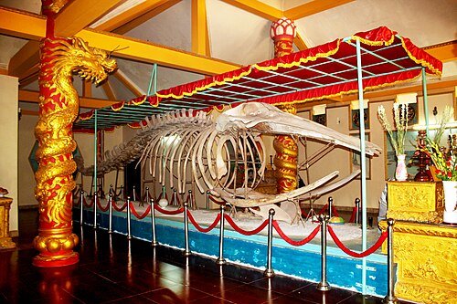Guardianes del Mar – El Culto a las Ballenas en el Sur de Vietnam
