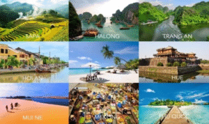 Vietnam Travel