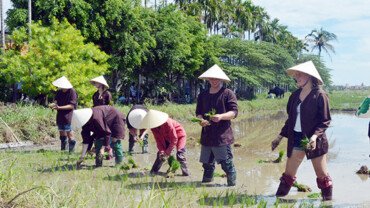 Turismo agrícola en Vietnam: sembrar experiencias, cosechar memorias