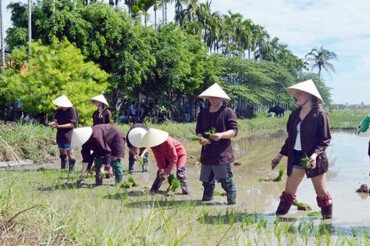 Turismo agrícola en Vietnam: sembrar experiencias, cosechar memorias