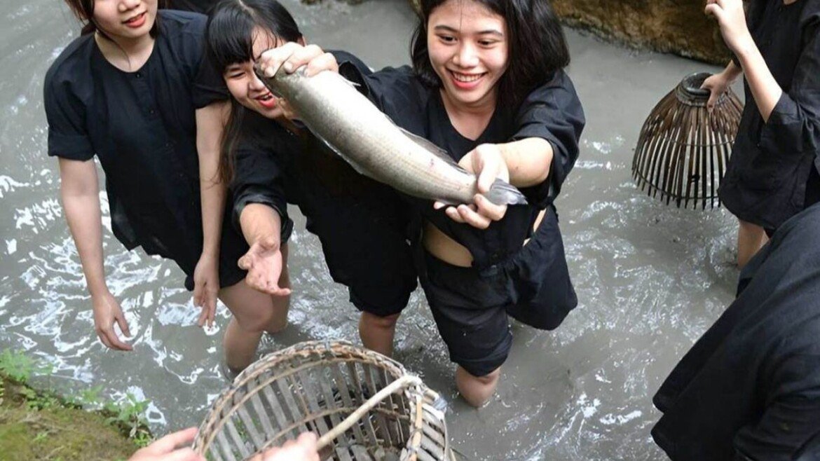Drenar la zanja para atrapar peces – Una tradición alegre del Delta del Mekong