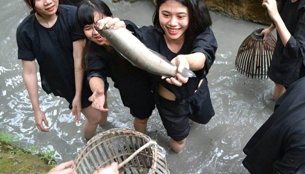Drenar la zanja para atrapar peces – Una tradición alegre del Delta del Mekong